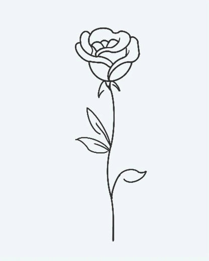Single Rose