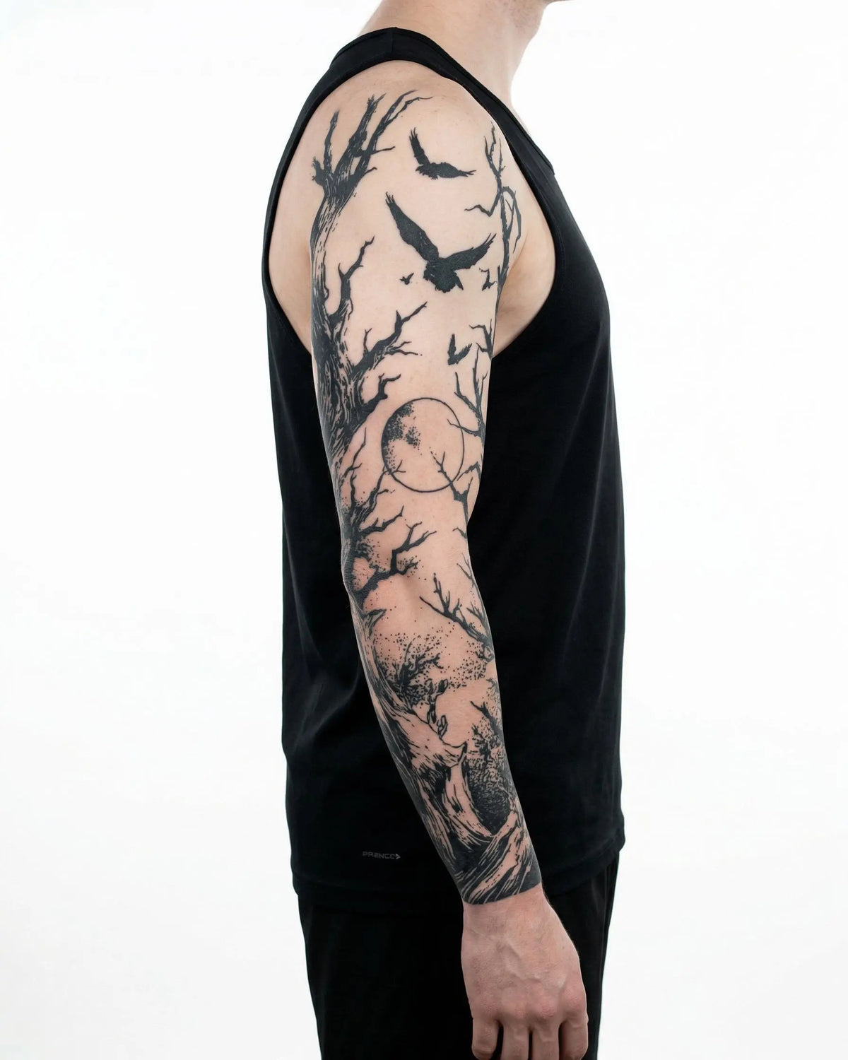 Dark Forest & Ravens