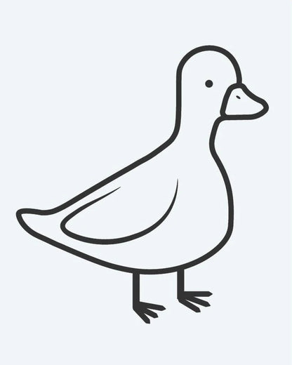 Little Duck