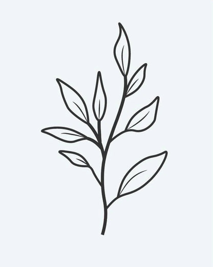 Leaf Branch