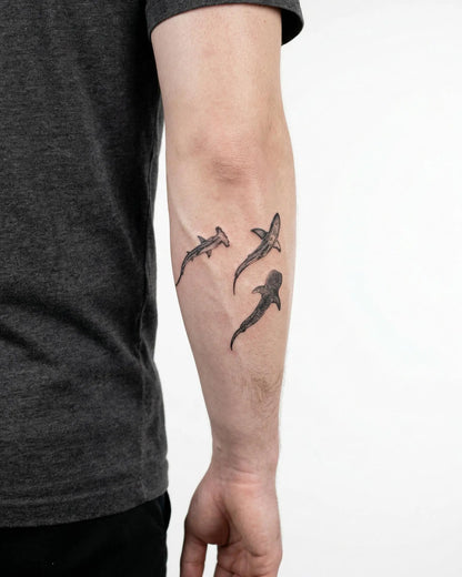 Three Sharks