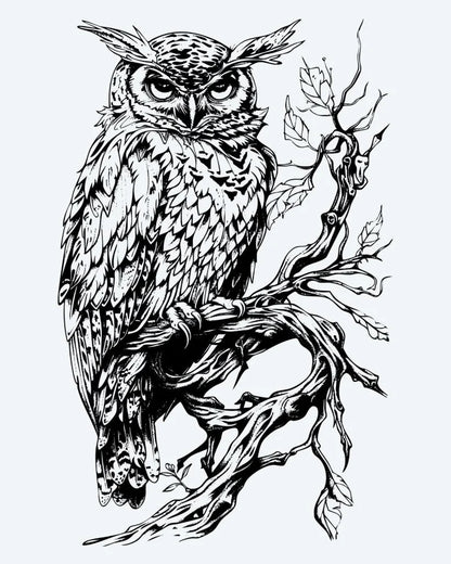 Owl on Branch