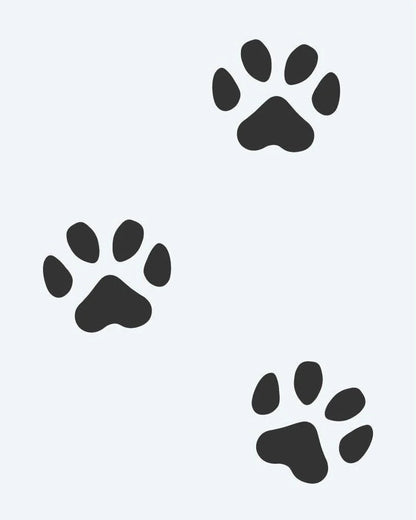 Paw Print Trail