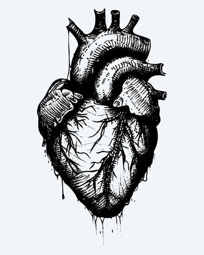 Anatomical Heart